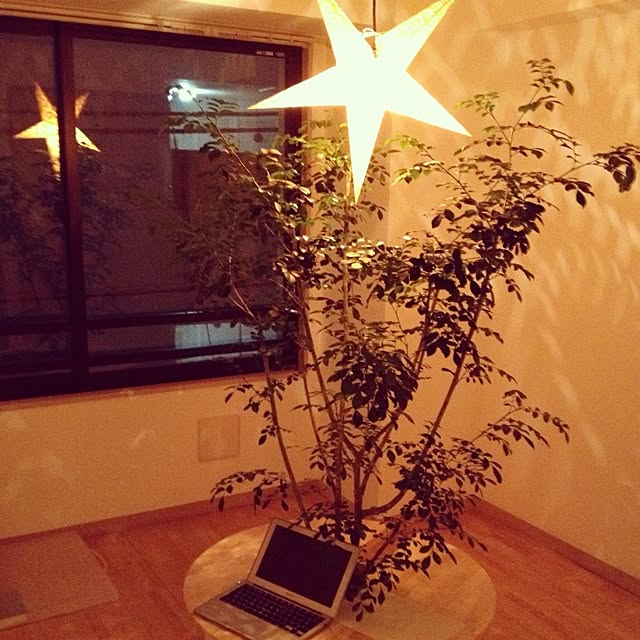 Katsuraさんの実例写真