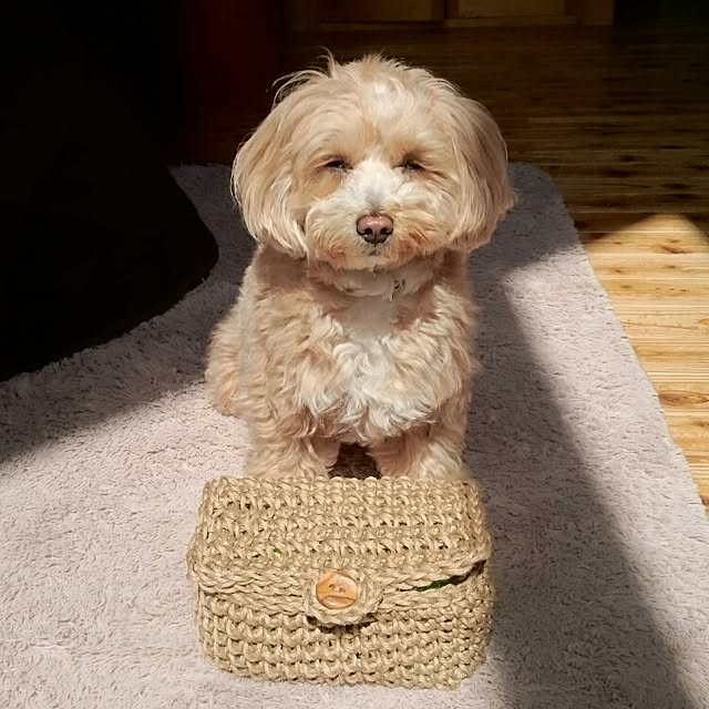 makaronさんの実例写真
