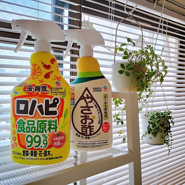 38さんの実例写真