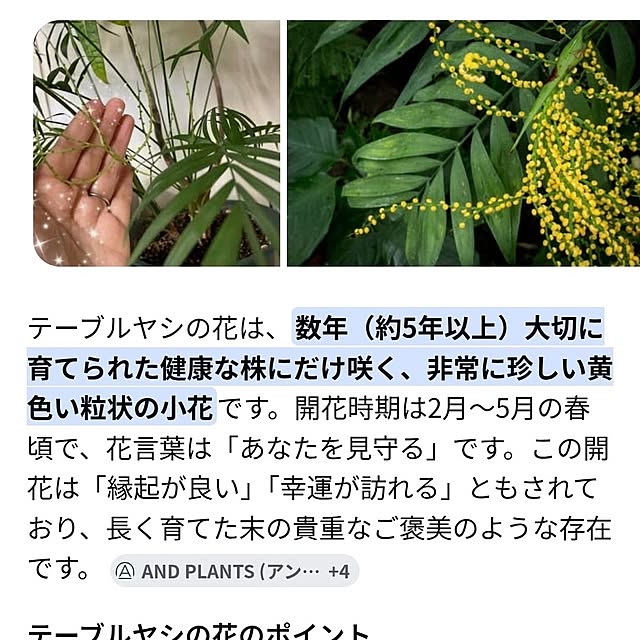 midoriさんの実例写真