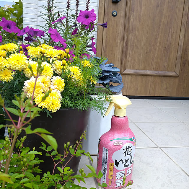corocoro2525さんの実例写真