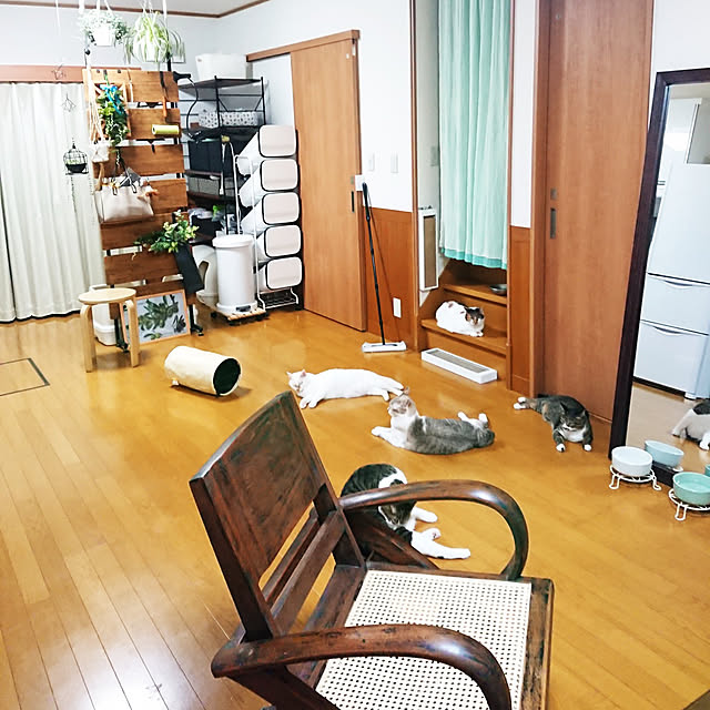 nachiさんの実例写真