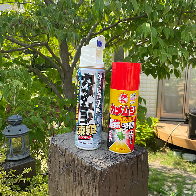 kuikoさんの実例写真
