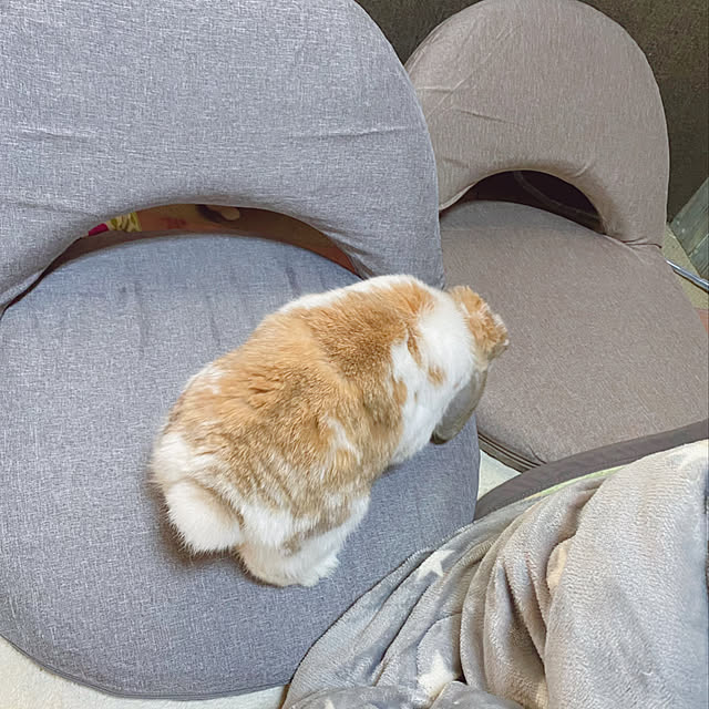 prelumoさんの実例写真