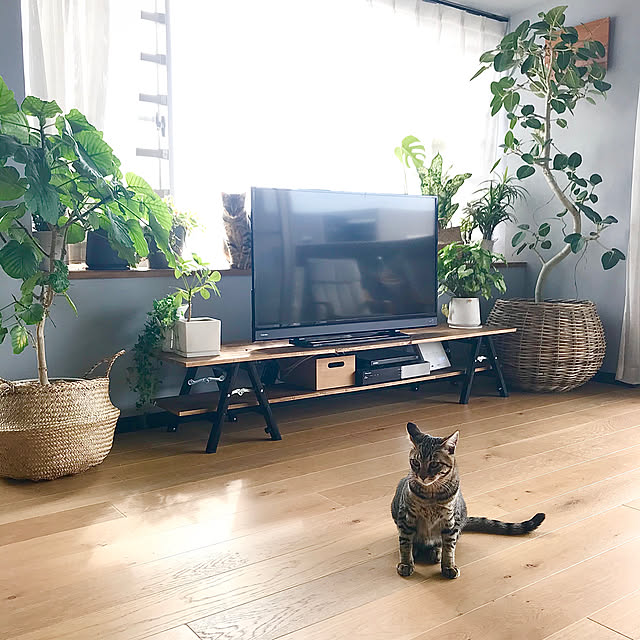 sakkiy37さんの実例写真