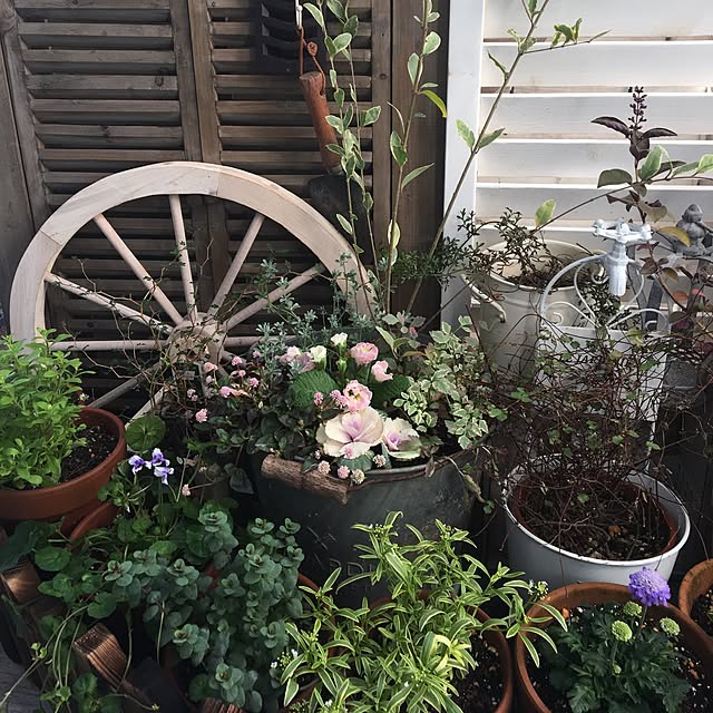 fuyuさんの実例写真