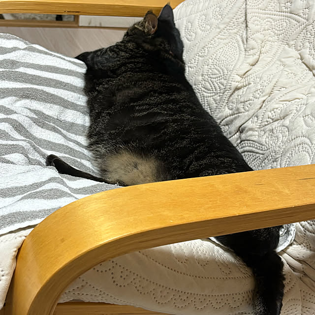 momocchiさんの部屋
