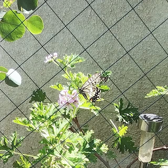 jinさんの部屋