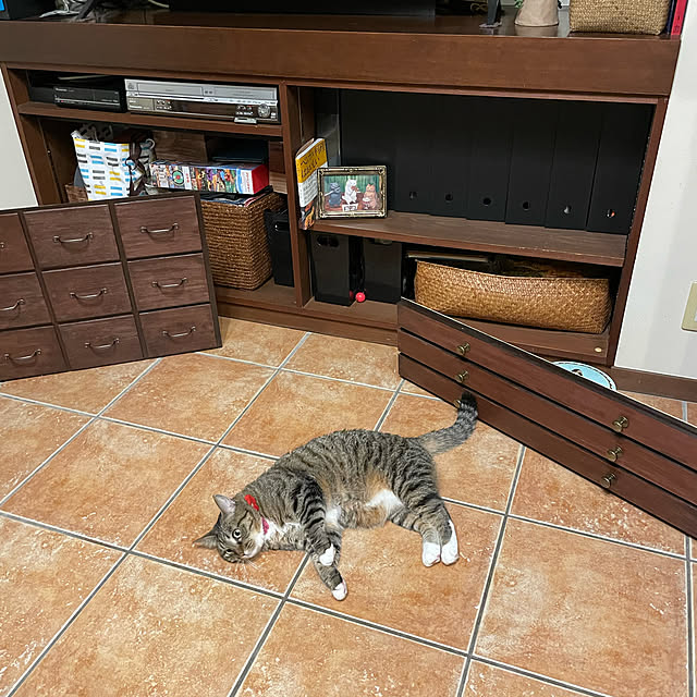 shigimiさんの実例写真