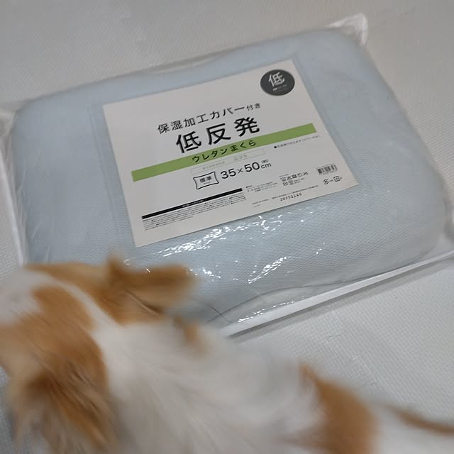 toratanさんの実例写真