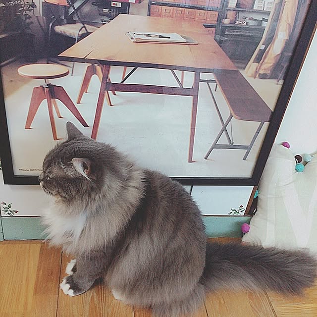 mii-tanさんの実例写真