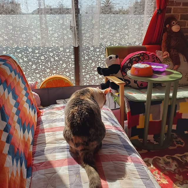 kumutanさんの部屋