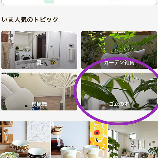 nachiさんの実例写真