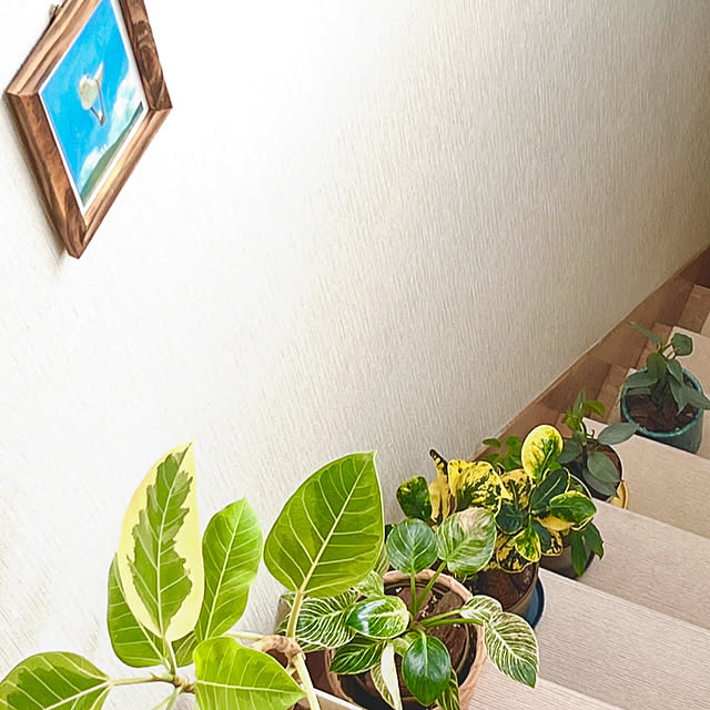 yukaringさんの部屋