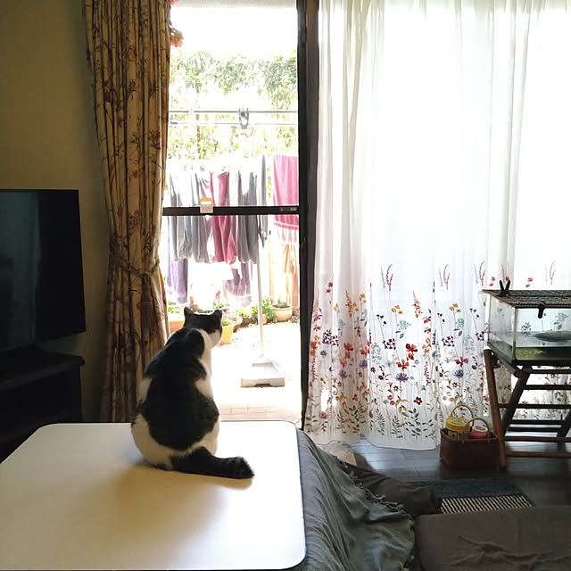 okyosan101さんの実例写真