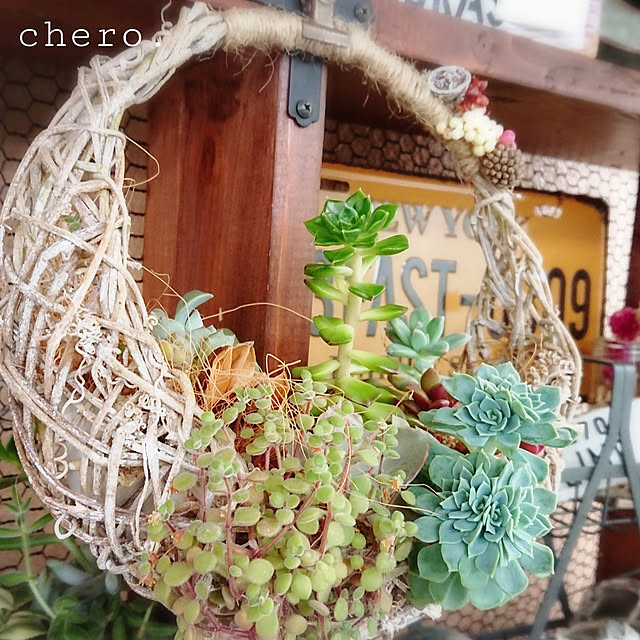 chero.さんの実例写真