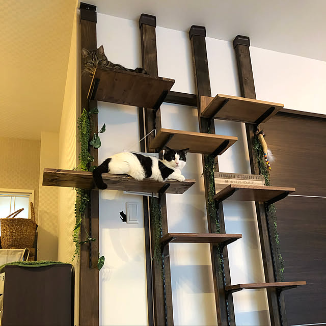 キャットタワーDIYのインテリア・手作りの実例 | RoomClip キャットタワーDIYのインテリア・手作りの実例 | RoomClip