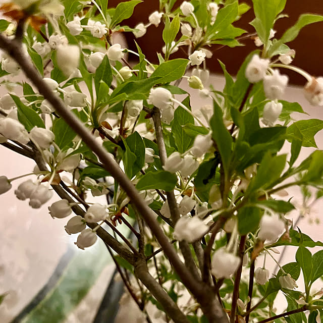 yoshibuさんの部屋