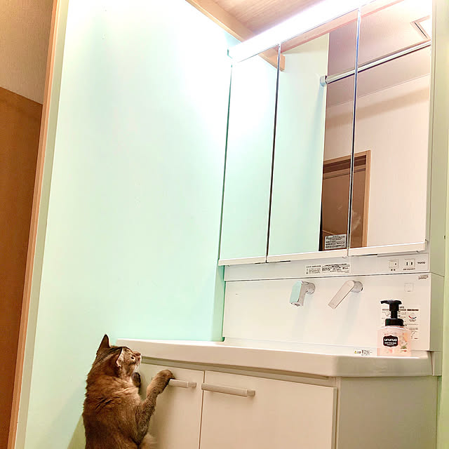Yumiさんの実例写真