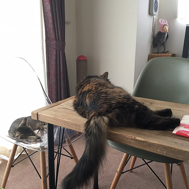 mikomaruさんの実例写真