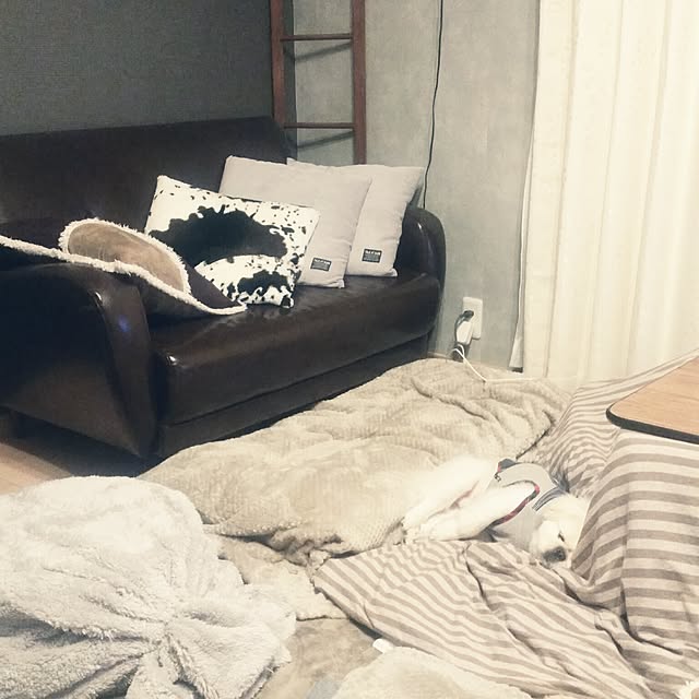 yukagomaさんの実例写真