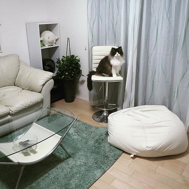hiroshiさんの実例写真