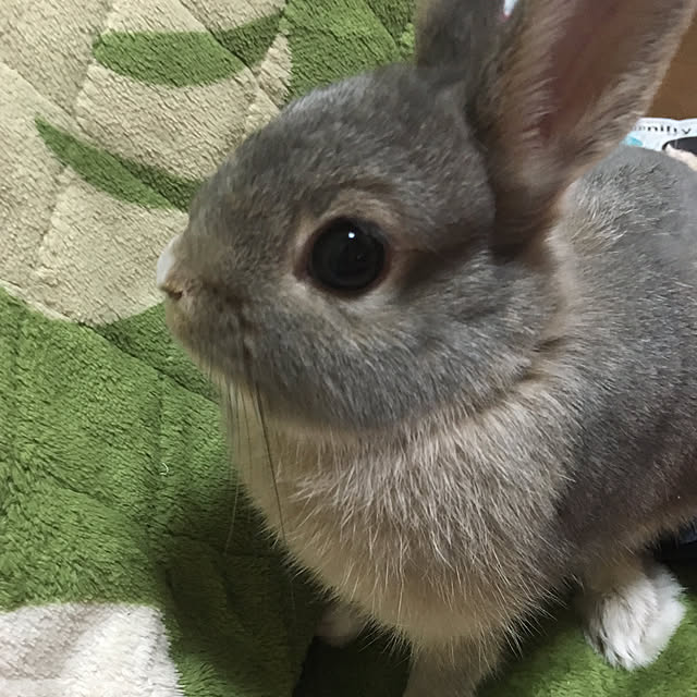kaaamiさんの実例写真