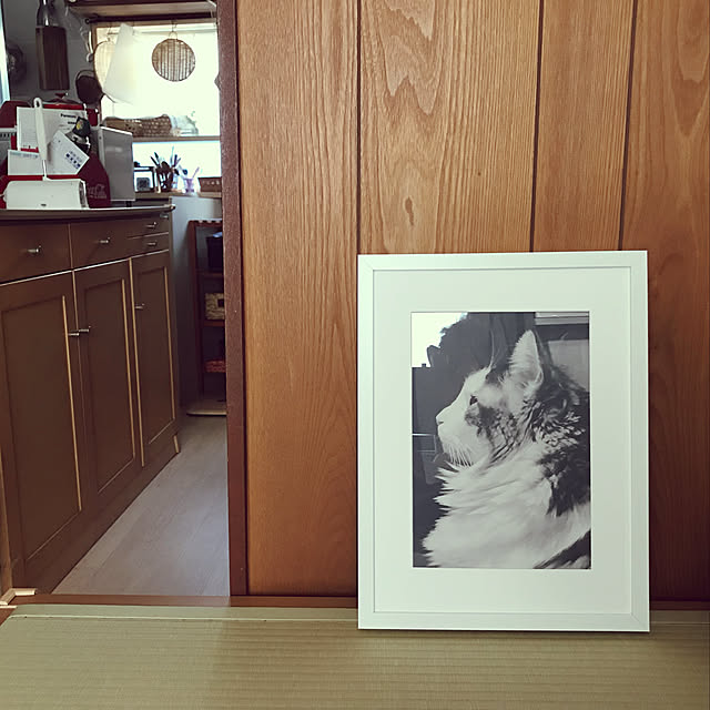 masakoさんの実例写真