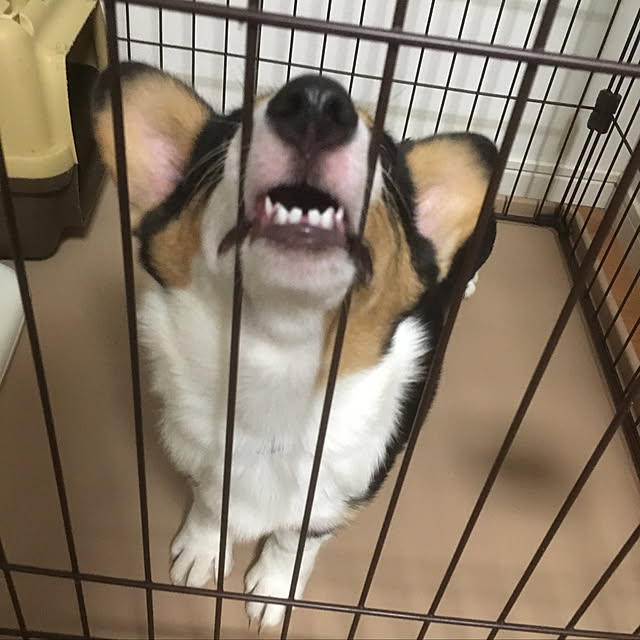 Bruuuuk6009さんの実例写真