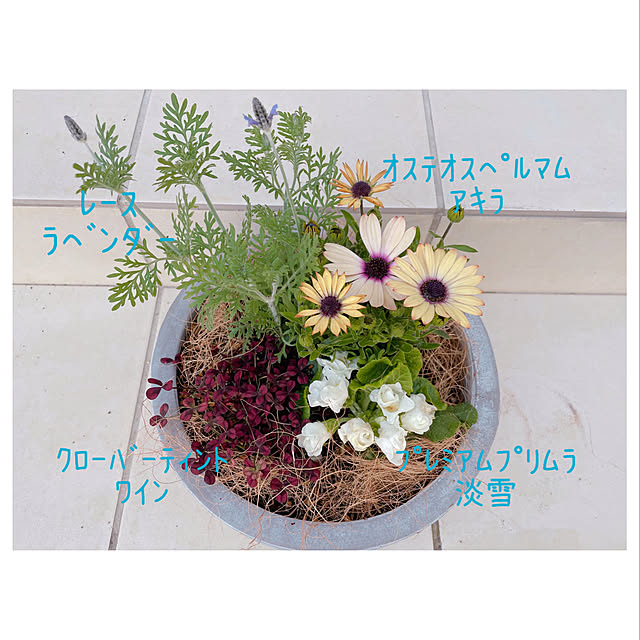 miiii36さんの実例写真