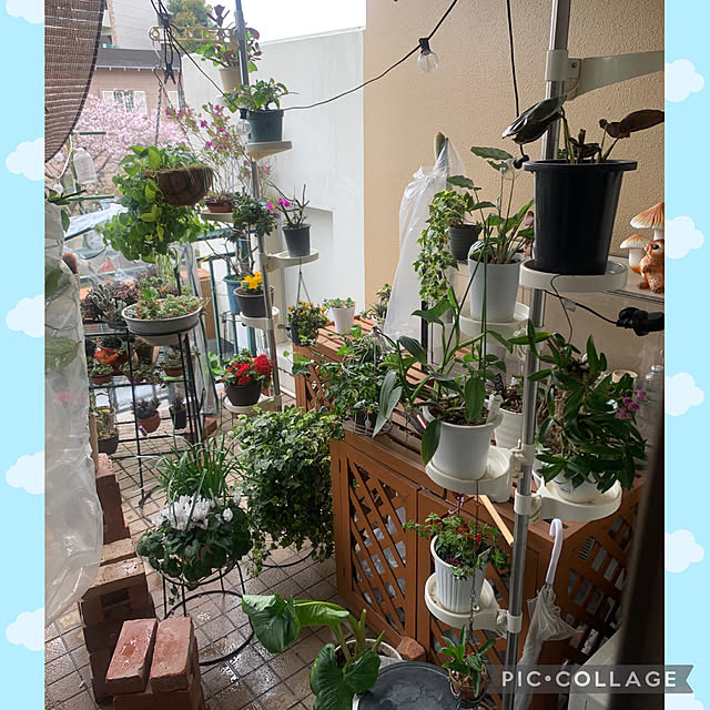 Aqettyさんの部屋
