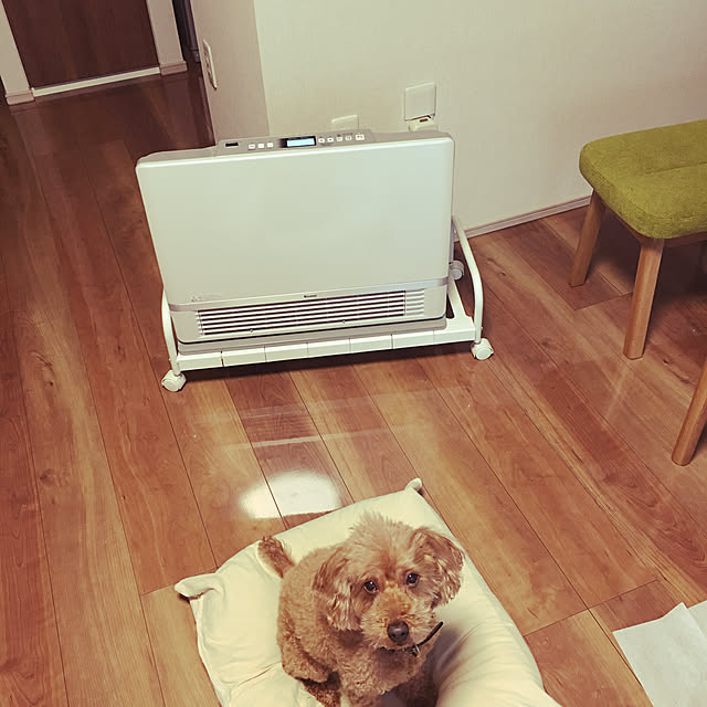 ponさんの実例写真