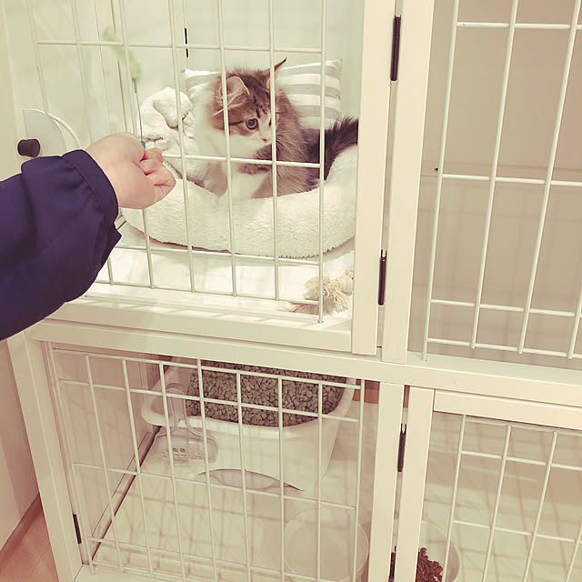 hiroさんの実例写真