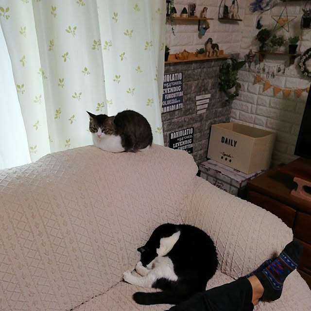 Tomopさんの実例写真