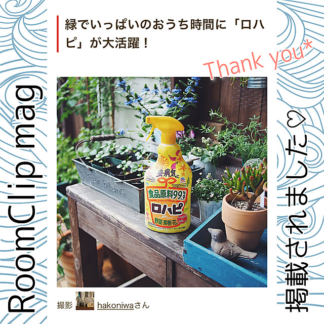 hakoniwaさんの実例写真