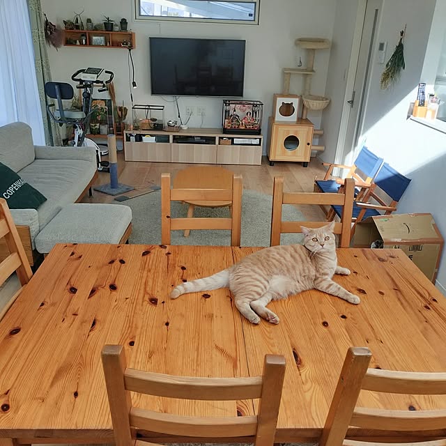 ayumiさんの部屋