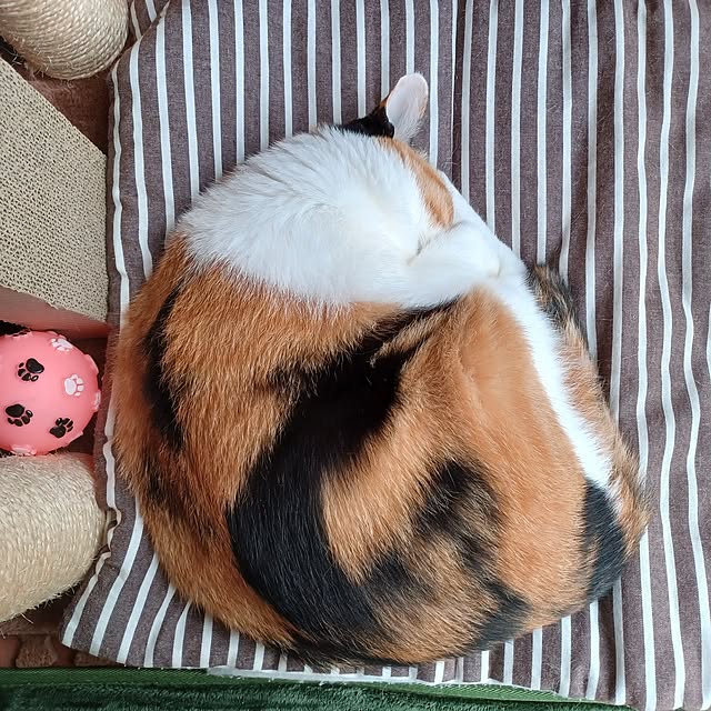 nanaさんの部屋