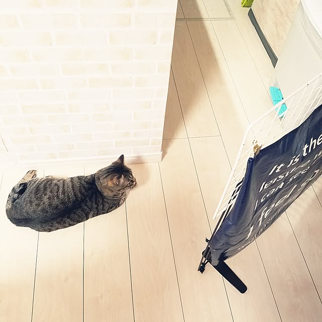t-famさんの実例写真