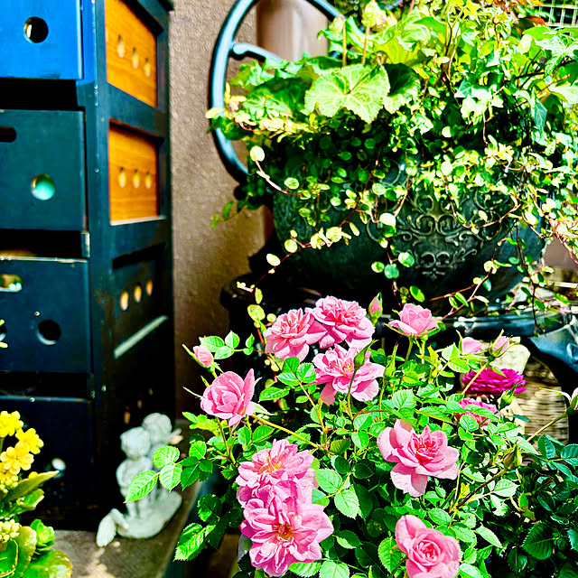 naokoさんの部屋