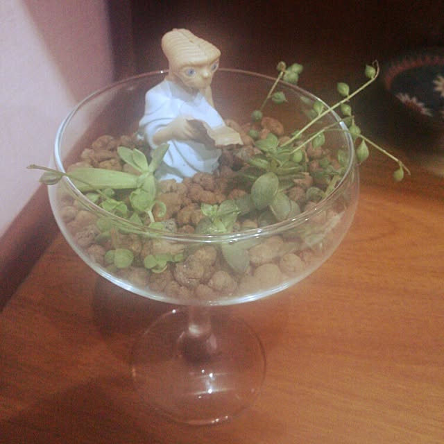 norakura.usagiさんの実例写真