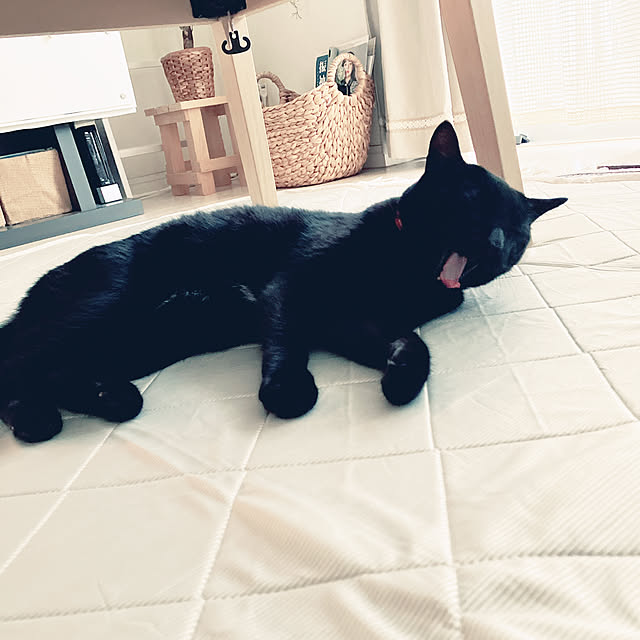 nekomiさんの部屋