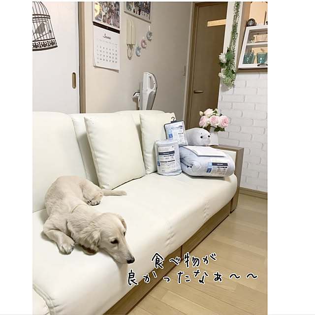 tmさんの実例写真