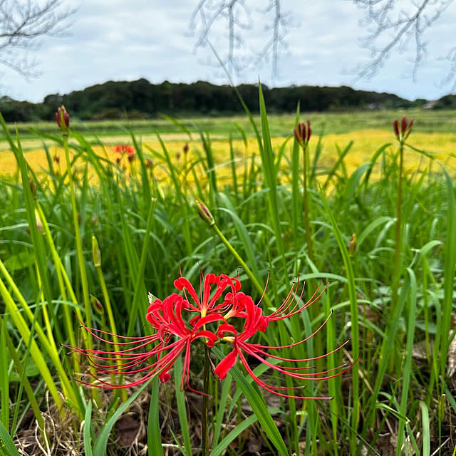 mizucchiさんの部屋