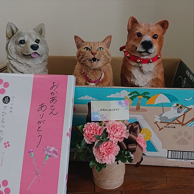 NOAHさんの部屋