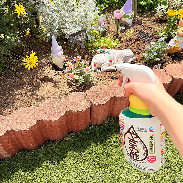 mri96さんの実例写真