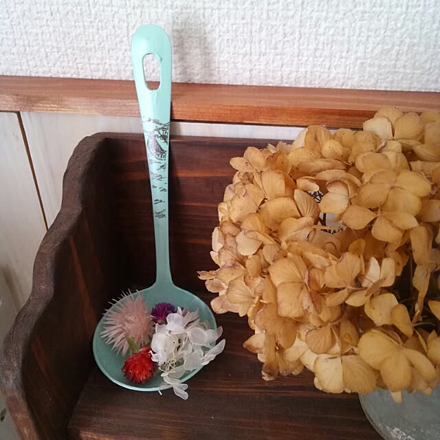 sariさんの実例写真