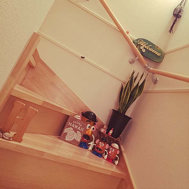 Hirokiさんの実例写真