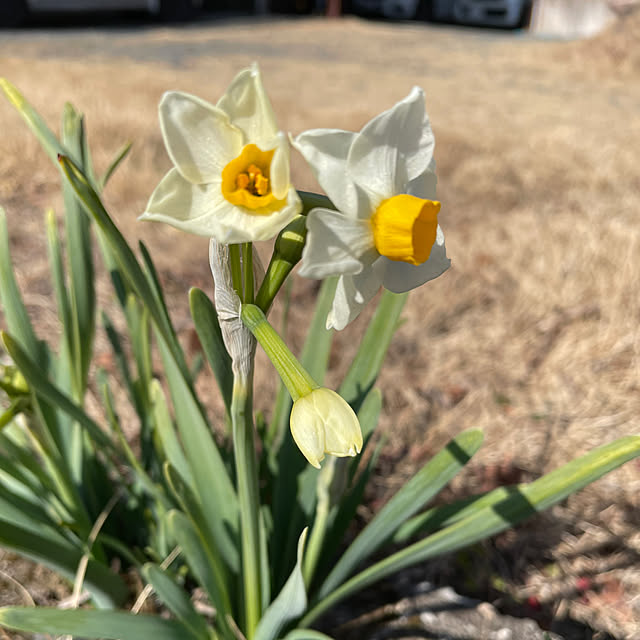 natsumiさんの部屋