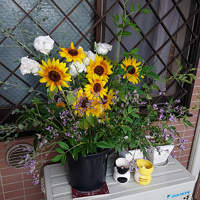 okyosan101さんの実例写真