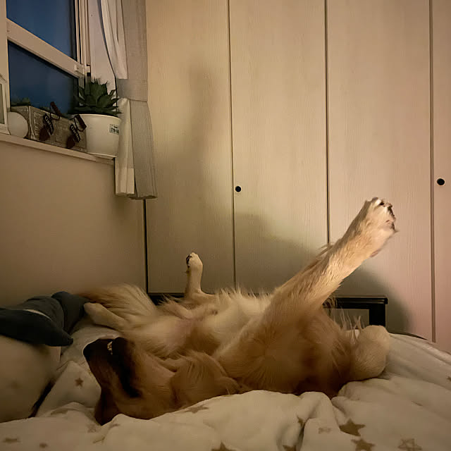 marinkoさんの実例写真